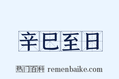 辛巳至日是什么意思的图片